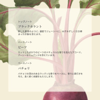 スカーレット ビートルート コロン / Jo Malone London(ジョー