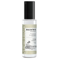デオミスト アドシガーワン114 / 100ml / スモーキーウッディの香り