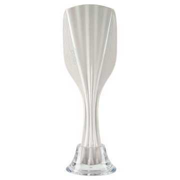 Silky treatment brush