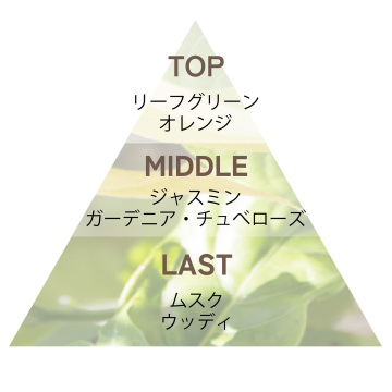 リッチヘア&ボディミスト 02