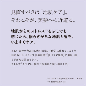 バランシング エココンボ 02