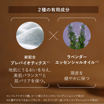 バランシング エココンボ 04