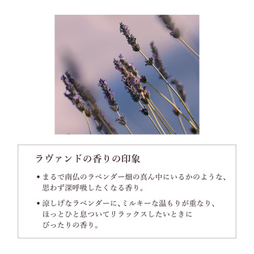 ラヴァンド[ラベンダー] パフュームド ハンドクリーム 04