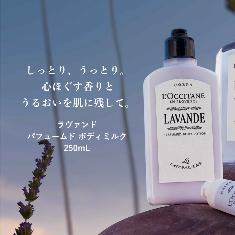 ラヴァンド パフュームド ボディミルク / ロクシタン(ボディミルク