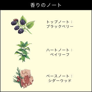 Luxury Festa コロン ギフト コレクション(ブラックベリー & ベイ コロン) 03
