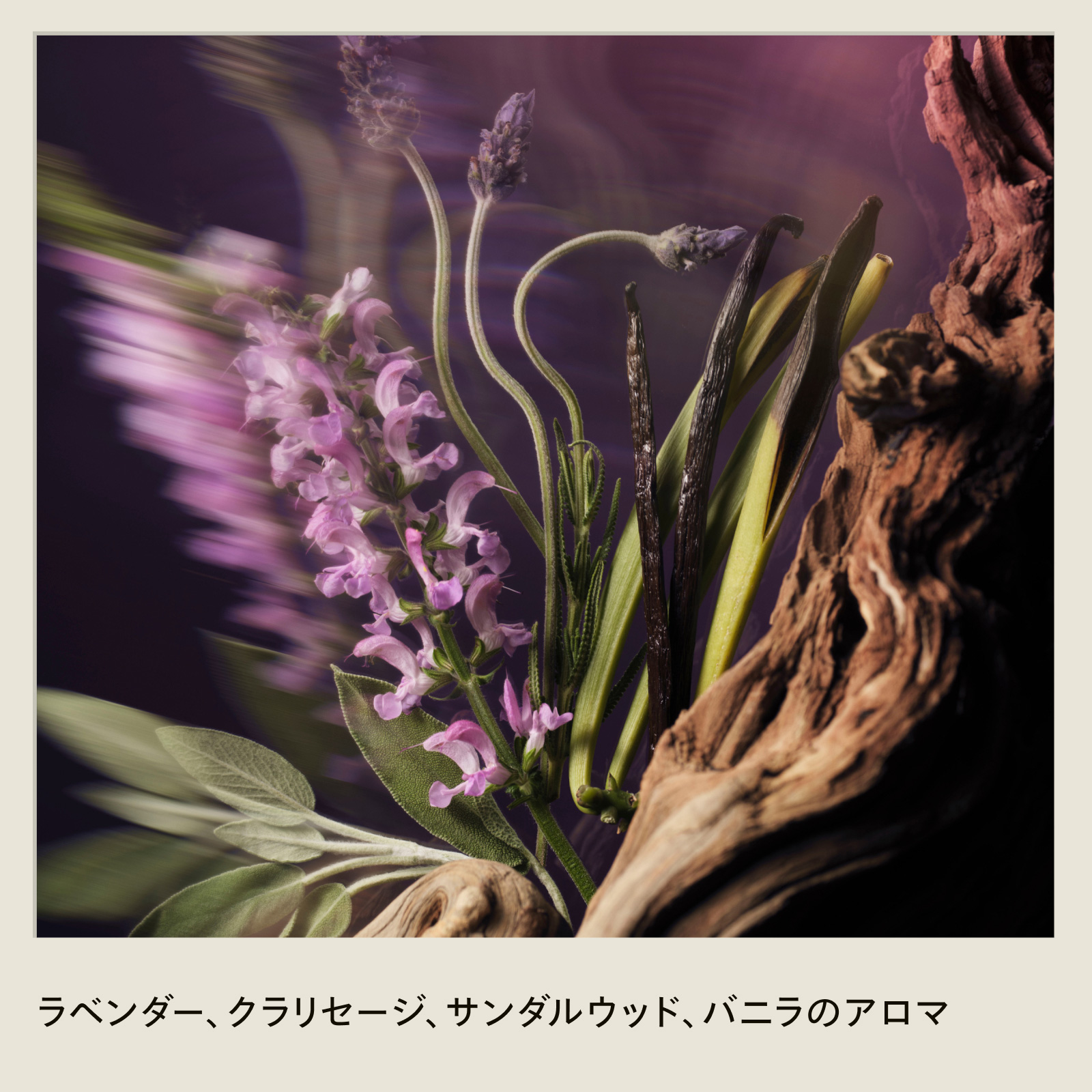 【数量限定】インヴァティ ウルトラ アドバンス スカルプ セラム/頭皮ボリュームケアセット / 150mL、10mL、10mL 1