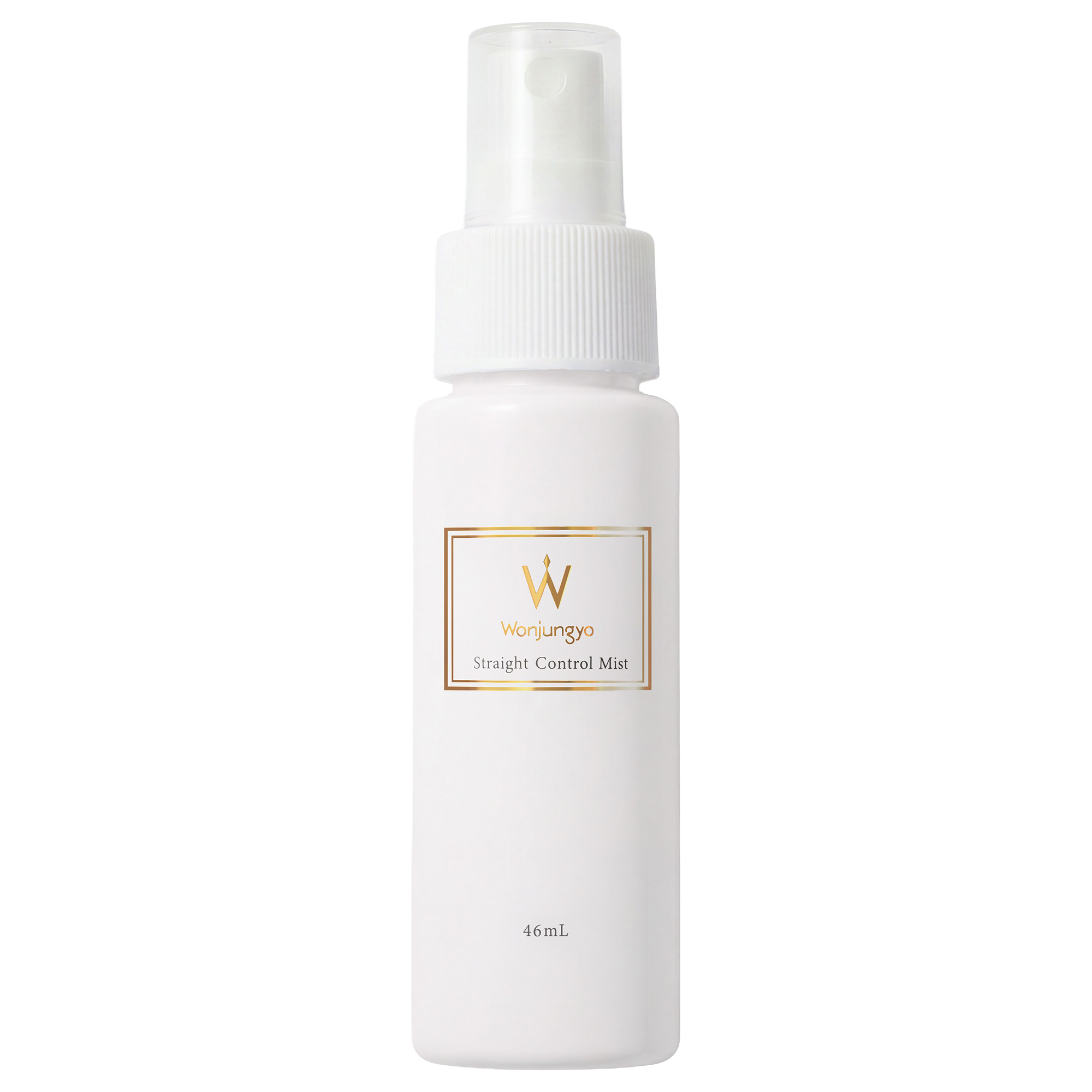 ストレートコントロールミスト / 46mL / 本体