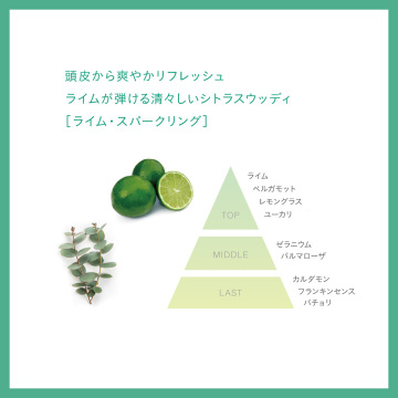 A&Lドライシャンプー 04