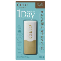 ワンデー白髪かくし / 本体 / ナチュラルブラウン / 9ml