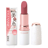 ラスティングステイリップカラー / 04 ダスティピンク / 4.0g