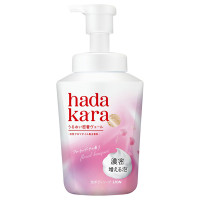 モイストボディケアソープ 泡タイプ / 本体 / 540ml / フローラルブーケの香り