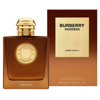 100mL