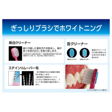 プレミアムケア歯の美白 6列レギュラー ふつう 05