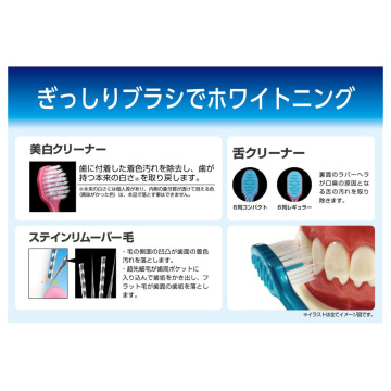 プレミアムケア歯の美白 6列コンパクト ふつう 05