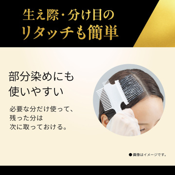オイルリッチクリームヘアカラー(白髪用) 04