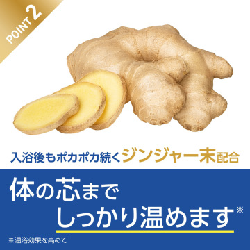 ファインヒート デジケア 04