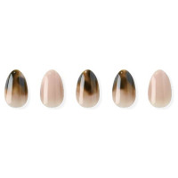 ND-CMOV-072-JO Smoky Tortoise / 30pcs、1個、4枚、…