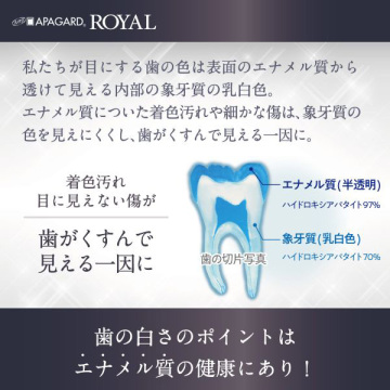 アパガードロイヤル 04