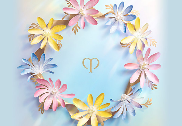 クレ・ド・ポー ボーテ / Cle de Peau Beauteの通販 - アット